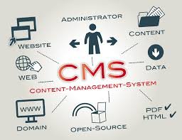 content management system company in navi mumbai