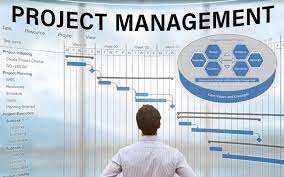 Project Management System Software in Navi Mumbai