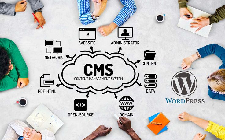 "CMS for Business illustration"