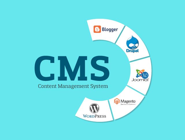 Top CMS platforms in Sanpada, Navi Mumbai